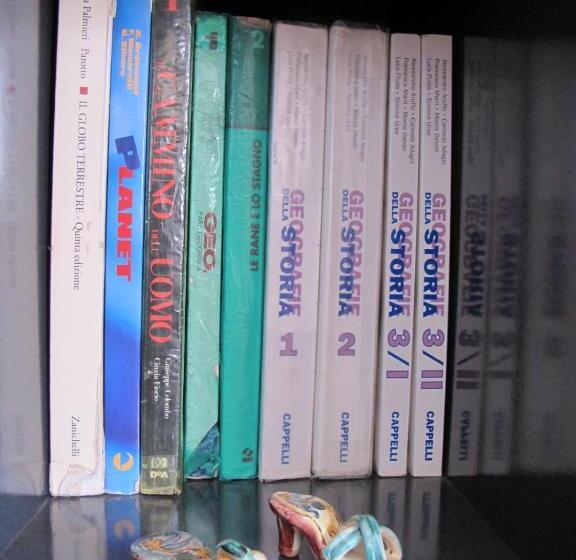 Номер Стандарт Индивидуальный, Brilliant Holiday