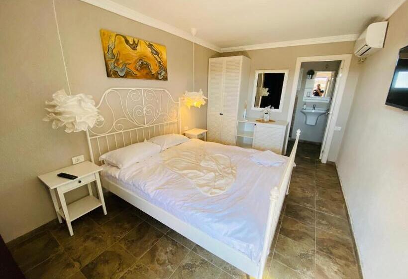 اتاق استاندارد, Vamyami Vama Veche