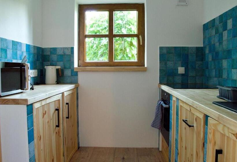 Апартаменты Superior 1 Спальня, Penzion Medvedi Paseka