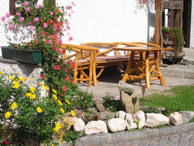 إستديو عائلى, Eselgut