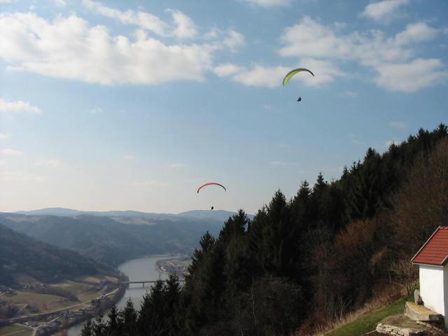 شقة غرفة نوم واحدة بالطابق الأرضى, Eselgut