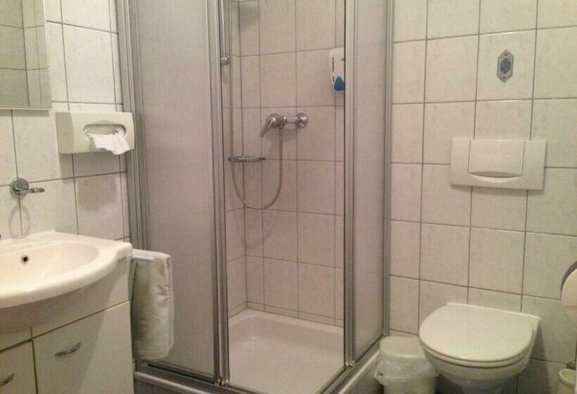 标准单人间, Alpengasthof Hoiswirt