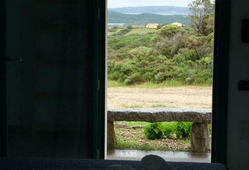 オーシャンビュースタンダードルーム, Agriturismo La Tana Di Lu Maccioni