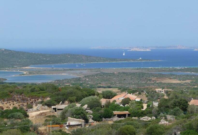 带海景的标准房, Agriturismo La Tana Di Lu Maccioni