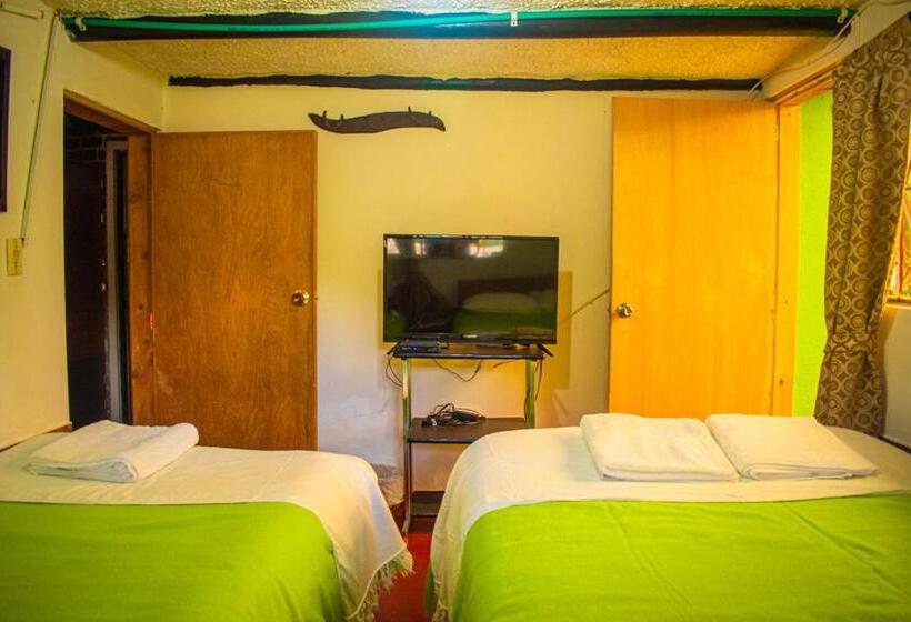 トリプルクラシックルーム, Miramonte Hostal