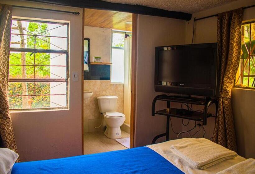 スタンダードルーム, Miramonte Hostal