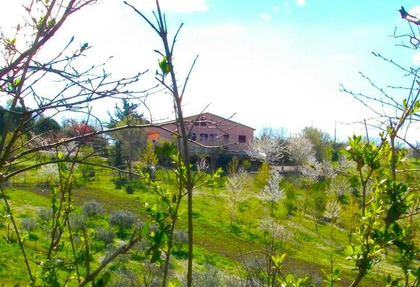 Номер Стандарт, Il Rifugio Dell Ape Agriturismo