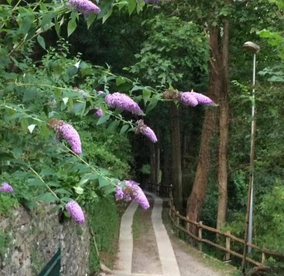 شقة 3 غرف, Affittacamere La Quiete