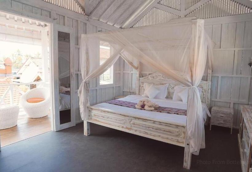 חדר דלוקס, Bottelmania