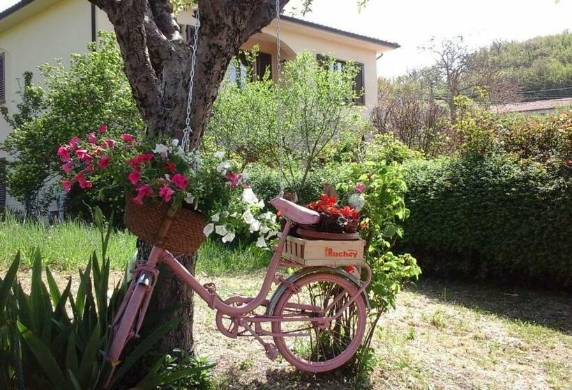 Апартаменты 1 Спальня, Il Castellare