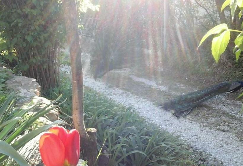 Апартаменты 1 Спальня, Il Castellare