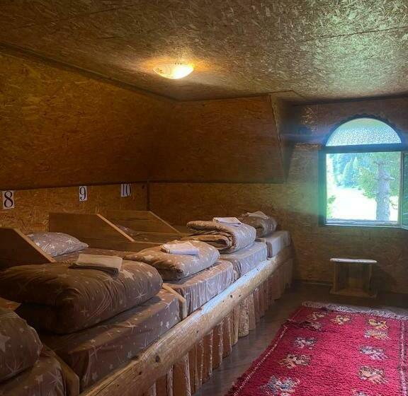 تختخواب در اتاق مشترک, Pinetrees Lodge