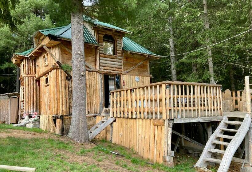 تختخواب در اتاق مشترک, Pinetrees Lodge