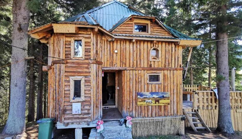 تختخواب در اتاق مشترک, Pinetrees Lodge