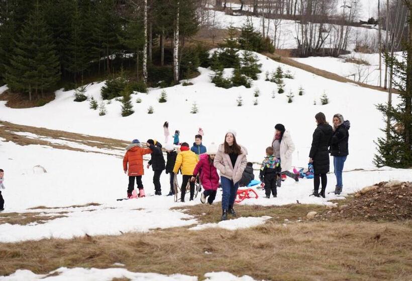 تختخواب در اتاق مشترک, Pinetrees Lodge