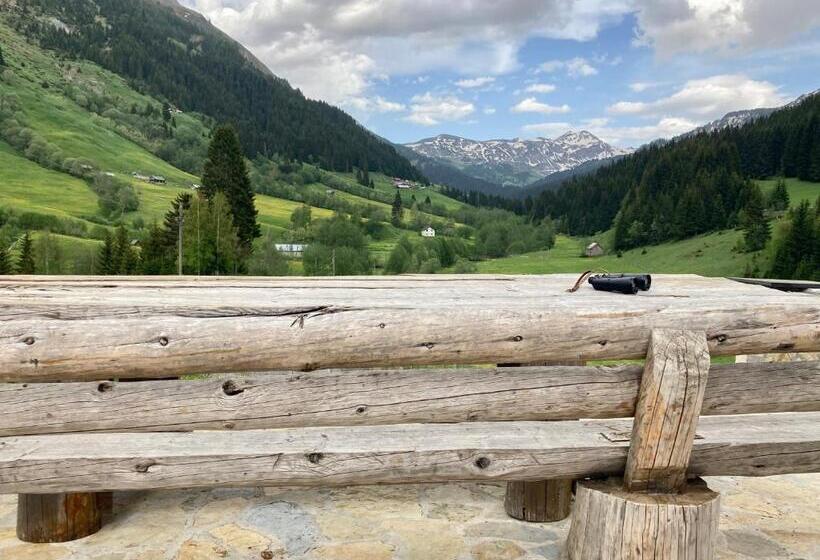 تختخواب در اتاق مشترک, Pinetrees Lodge