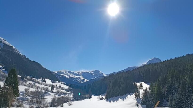 تختخواب در اتاق مشترک, Pinetrees Lodge