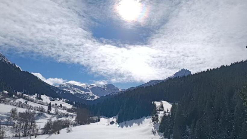 تختخواب در اتاق مشترک, Pinetrees Lodge