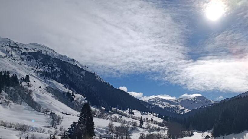 تختخواب در اتاق مشترک, Pinetrees Lodge