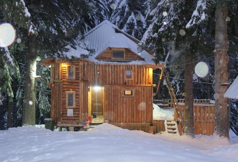 کلبه ییلاقی, Pinetrees Lodge