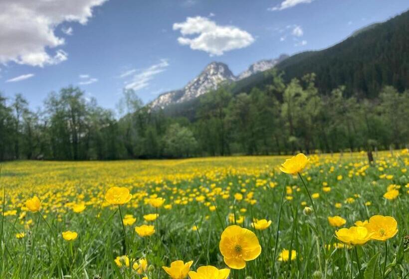 کلبه ییلاقی, Pinetrees Lodge