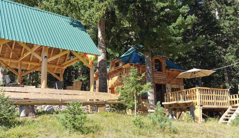تختخواب در اتاق مشترک, Pinetrees Lodge