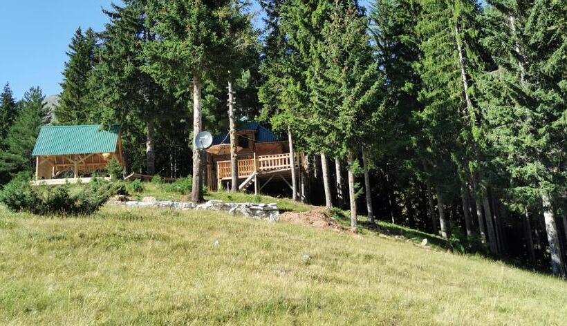 تختخواب در اتاق مشترک, Pinetrees Lodge