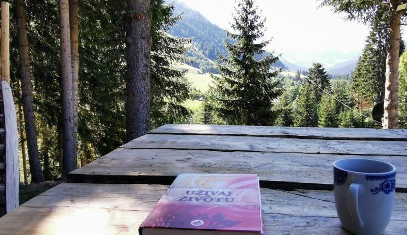 تختخواب در اتاق مشترک, Pinetrees Lodge