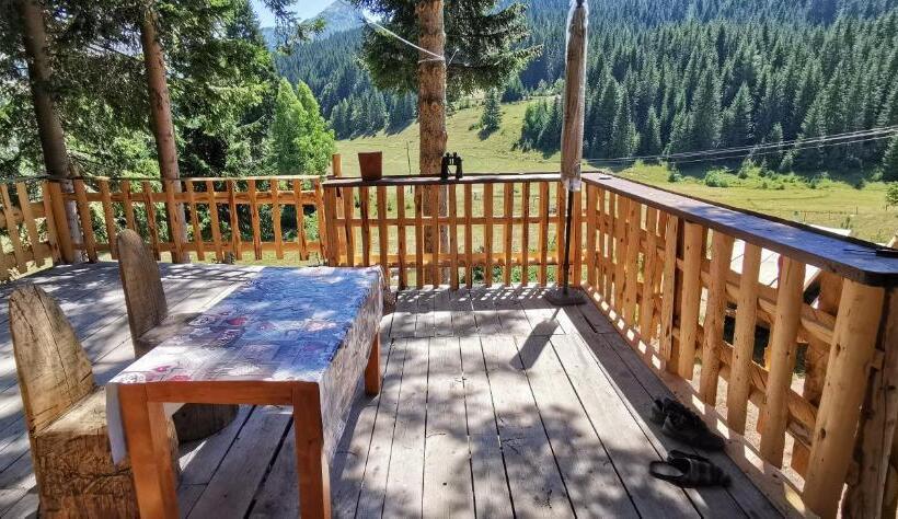 تختخواب در اتاق مشترک, Pinetrees Lodge