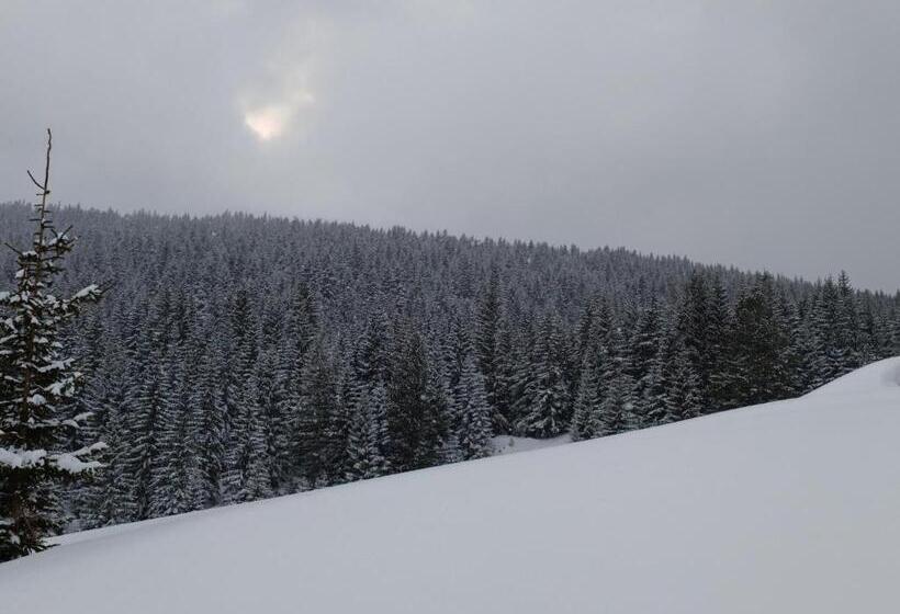 کلبه ییلاقی, Pinetrees Lodge