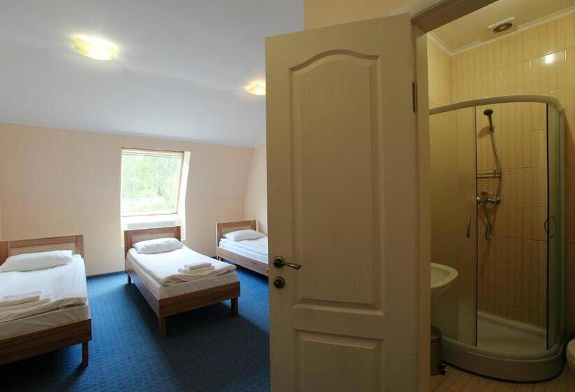 غرفة قياسية ثلاثية, Budget Hotel Ekotel