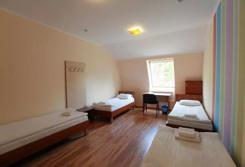 تختخواب در اتاق مشترک, Budget Hotel Ekotel
