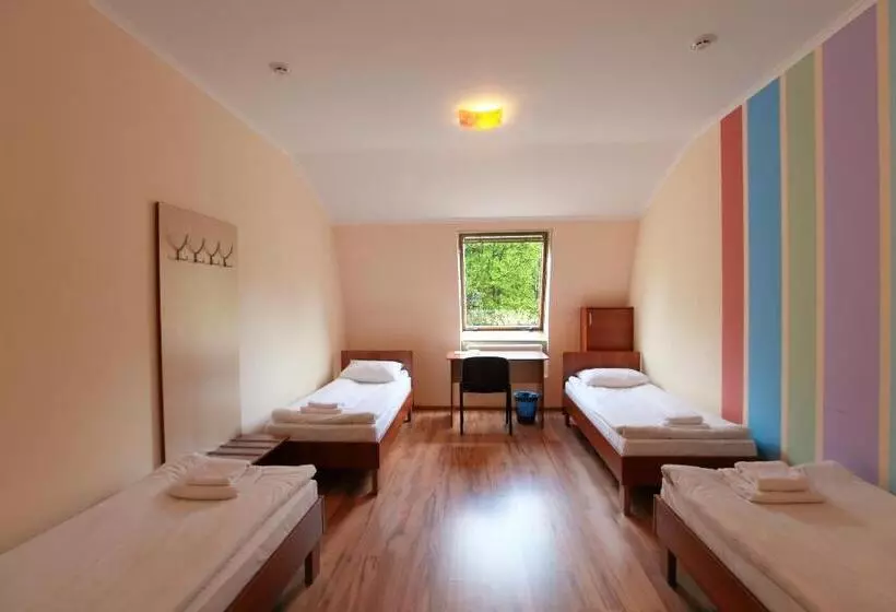 تختخواب در اتاق مشترک, Budget Hotel Ekotel