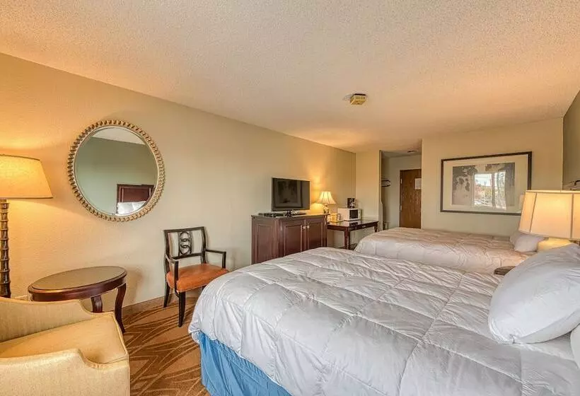 デラックスルーム, American Inn And Suites Dundee