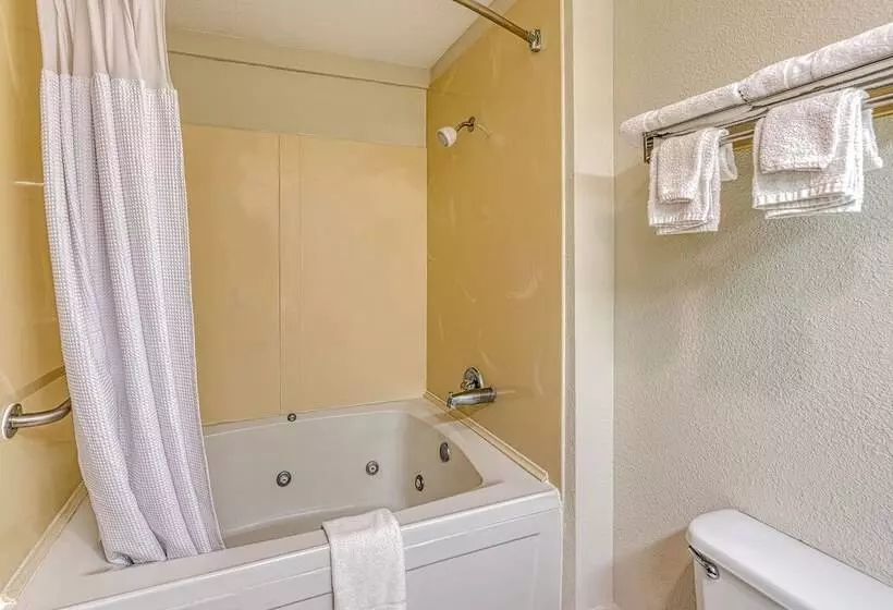デラックスルーム, American Inn And Suites Dundee