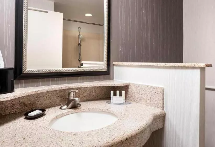 スタンダードルーム, Courtyard By Marriott Columbia