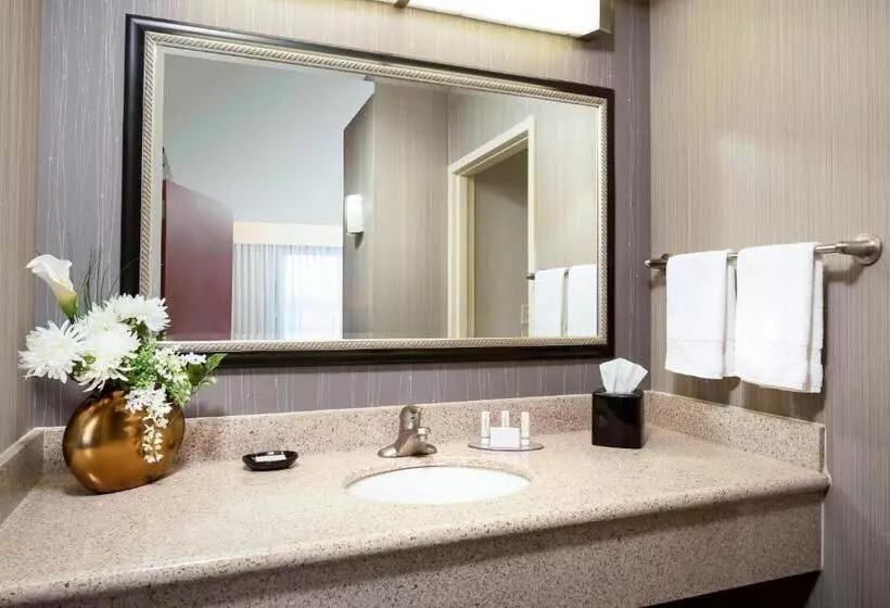 スタンダードルーム, Courtyard By Marriott Columbia