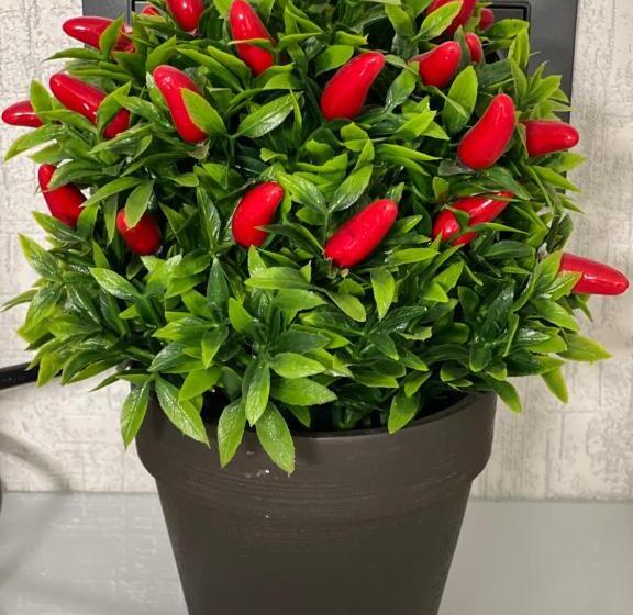 غرفة ديلوكس رباعية, Kharkovlux