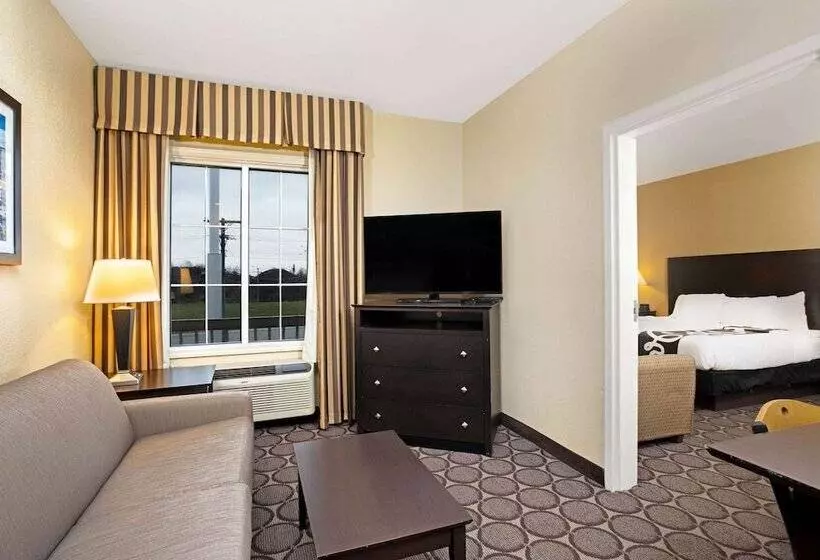 スイート, La Quinta By Wyndham Lexington South / Hamburg