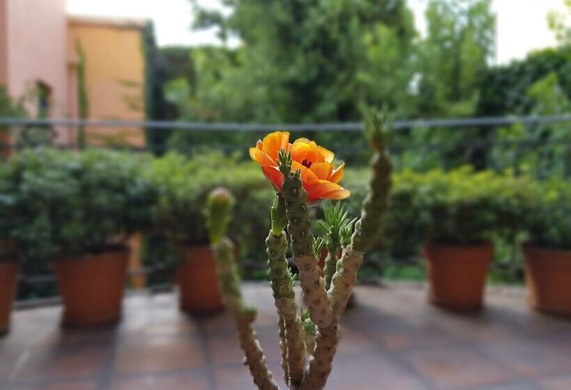 디럭스 룸, Legado Mitico Salta Hotel Boutique