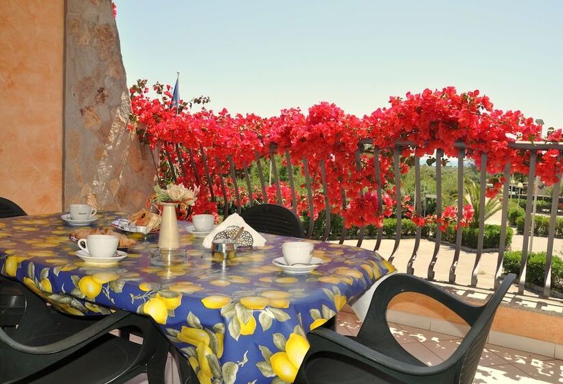 高级工作室, Palm Village