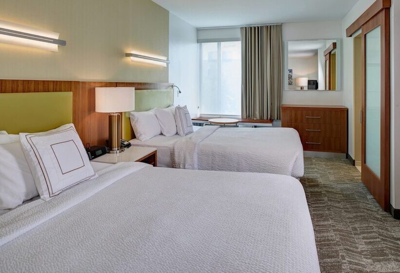Студия Стандарт, Springhill Suites By Marriott Saginaw