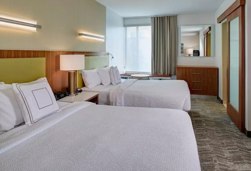 スタンダードスタジオ, Springhill Suites By Marriott Saginaw