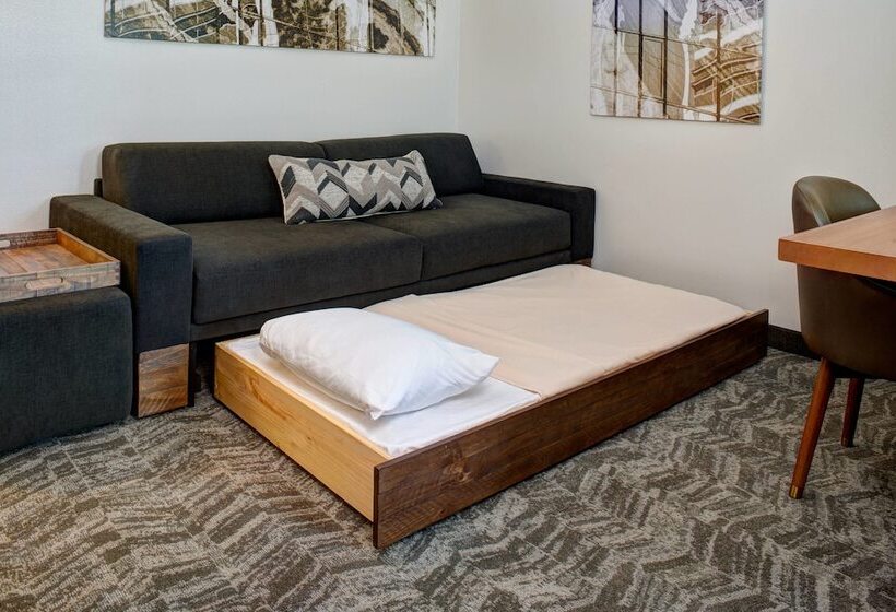 إستوديو قياسى, Springhill Suites By Marriott Saginaw