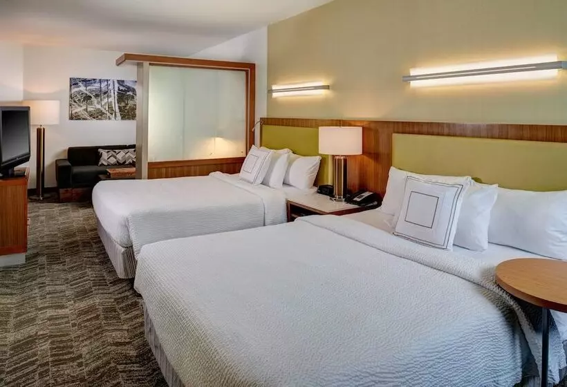 スタンダードスタジオ, Springhill Suites By Marriott Saginaw