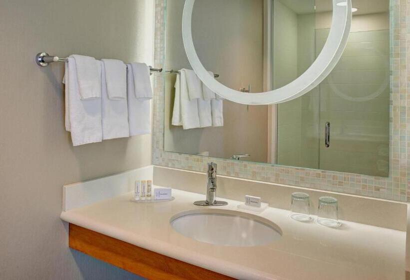 Студио Стандарт Кровать Кинг, Springhill Suites By Marriott Saginaw