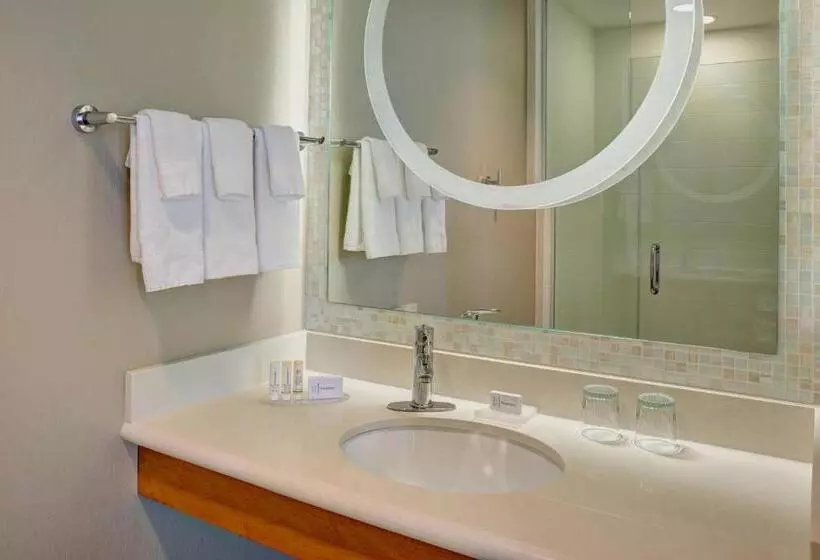キングサイドベッドのスタンダードワンルーム, Springhill Suites By Marriott Saginaw