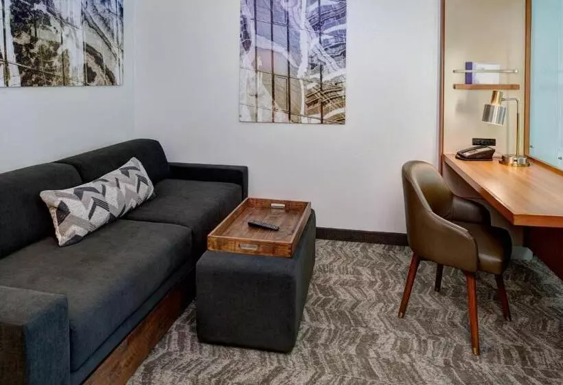 キングサイドベッドのスタンダードワンルーム, Springhill Suites By Marriott Saginaw