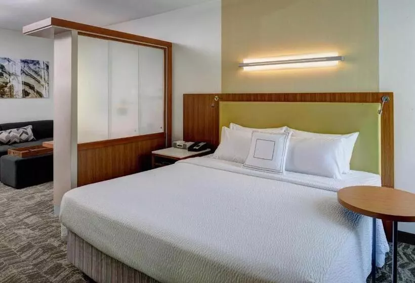 キングサイドベッドのスタンダードワンルーム, Springhill Suites By Marriott Saginaw