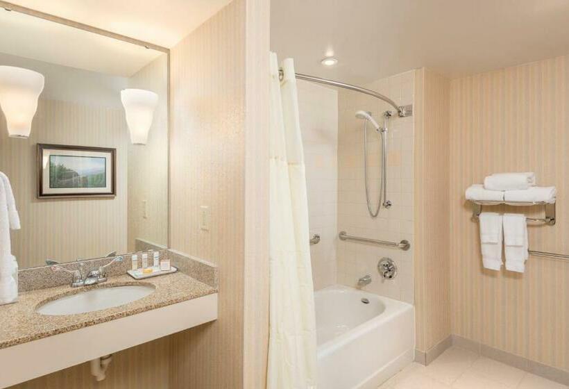 غرفة قياسية لذوى الاحتياجات الخاصة, The Inn At Virginia Tech  On Campus